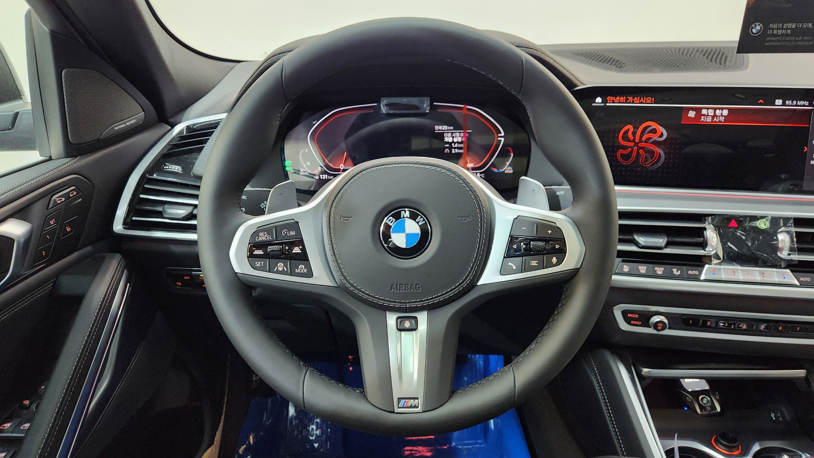 BMW X6 xDrive 30d M 스포츠