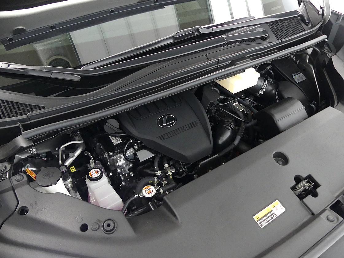 렉서스 LM 500h 이그제큐티브